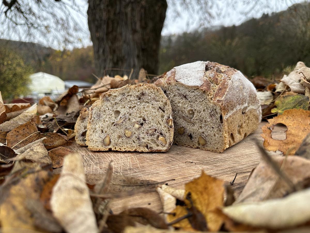 Pain froment aux noix/figues - Image 1