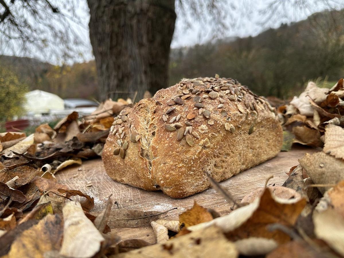 Pain froment aux graines - Image 2