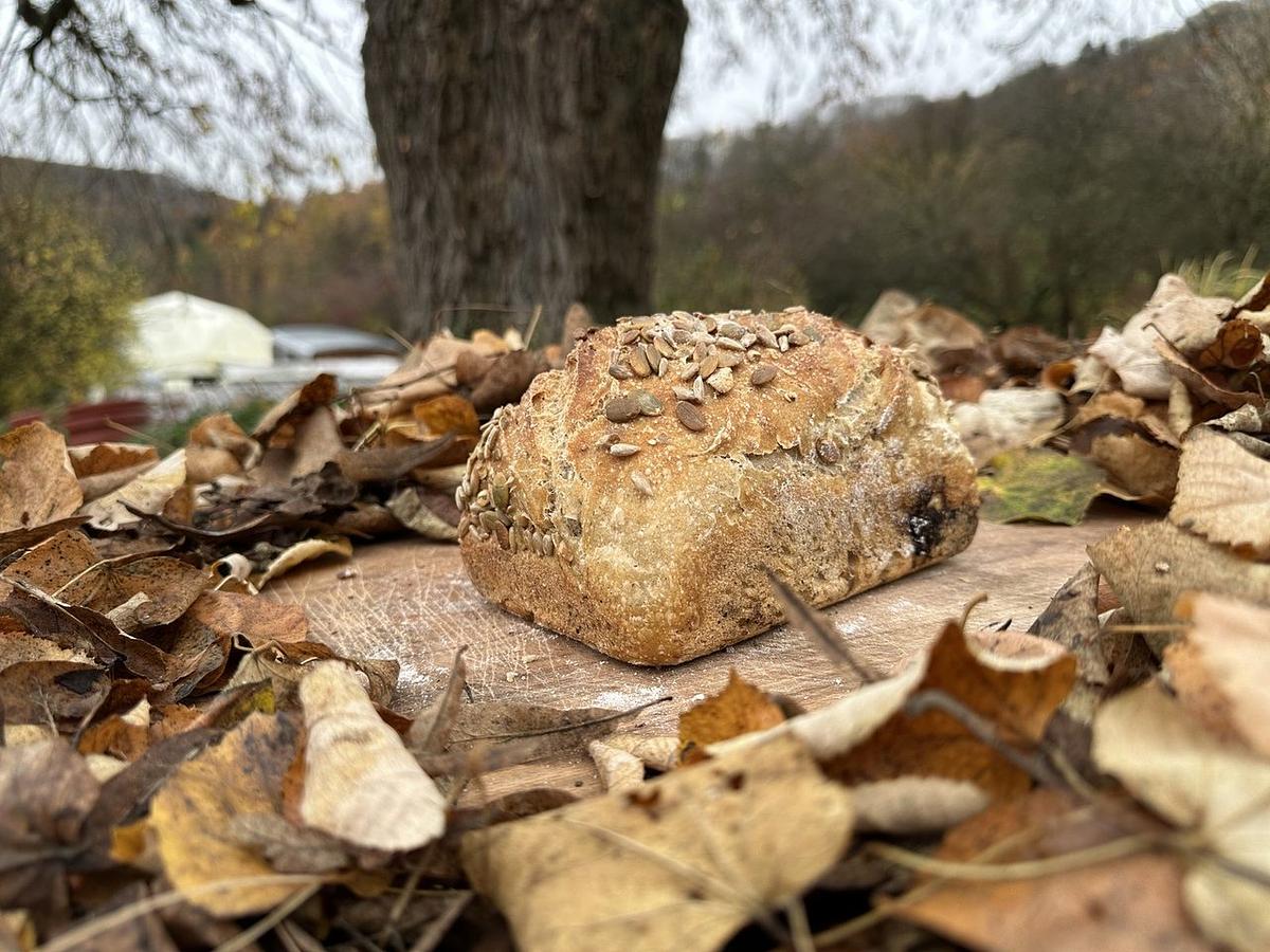 Pain froment aux graines - Image 4