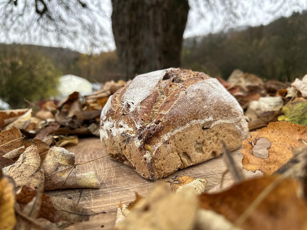 Pain froment aux noix/figues - Image 2