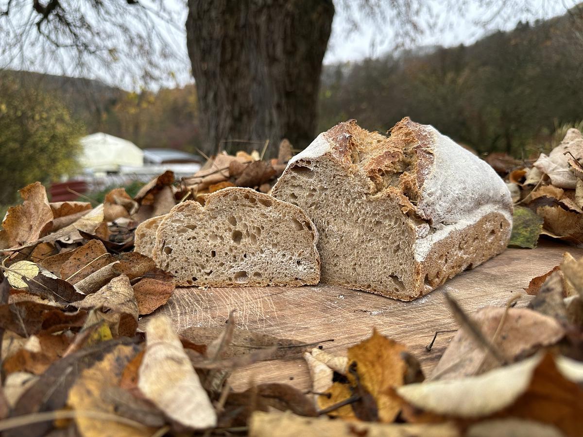 Pain d'épeautre - Image 1