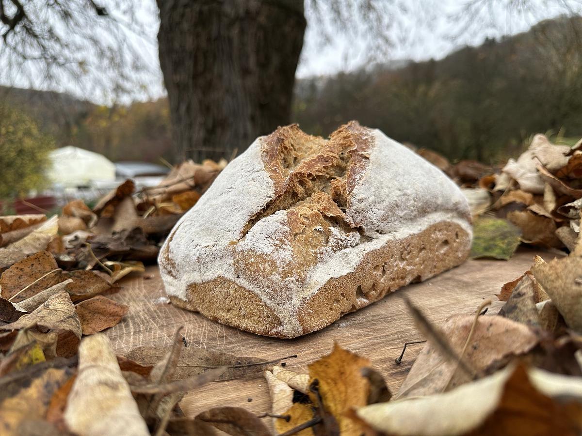 Pain d'épeautre - Image 2