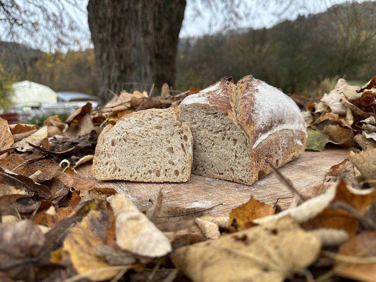 Pain d'épeautre - Image 3