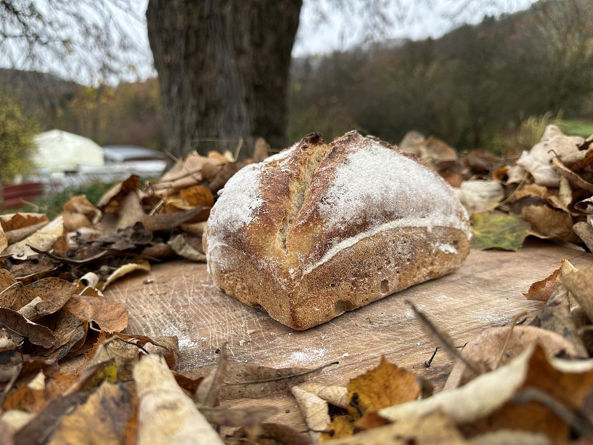 Pain d'épeautre - Image 4