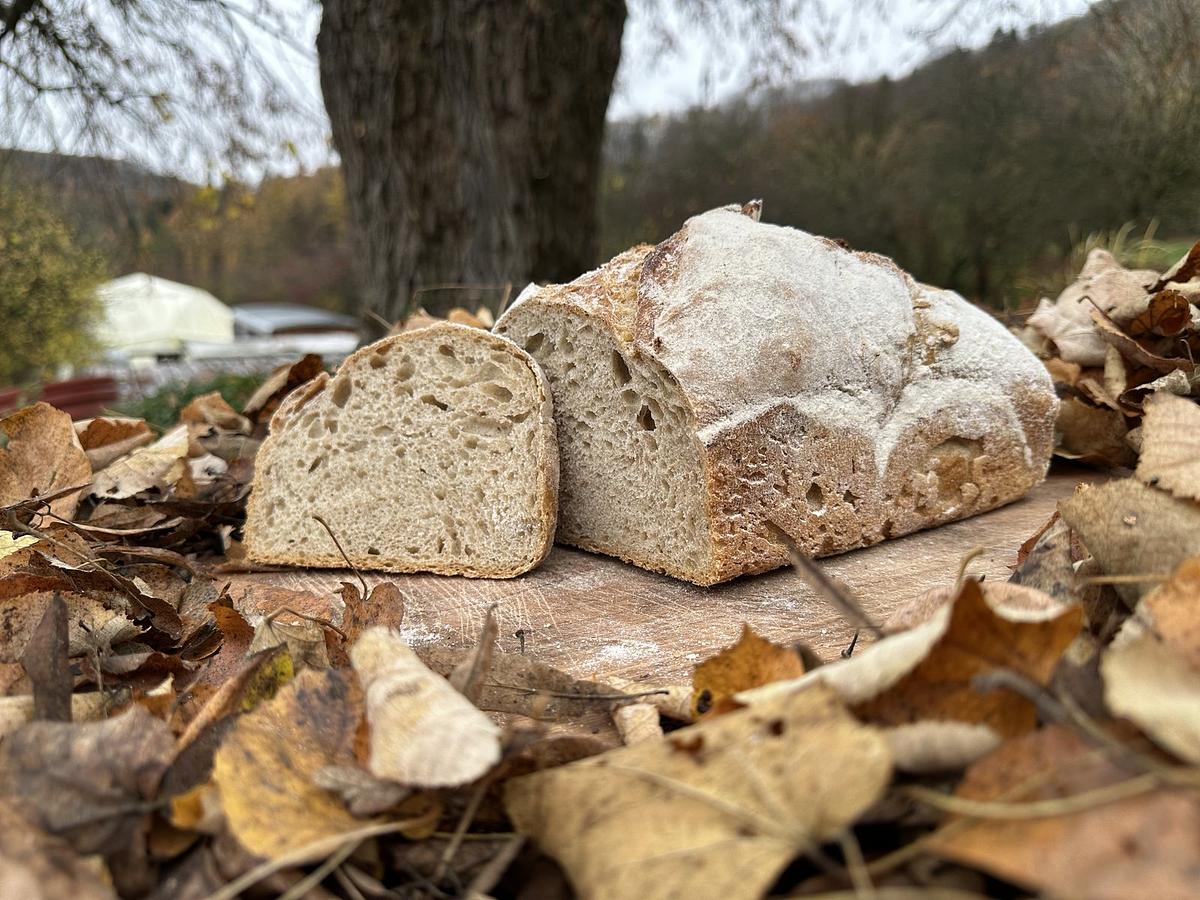 Pain au froment - Image 1