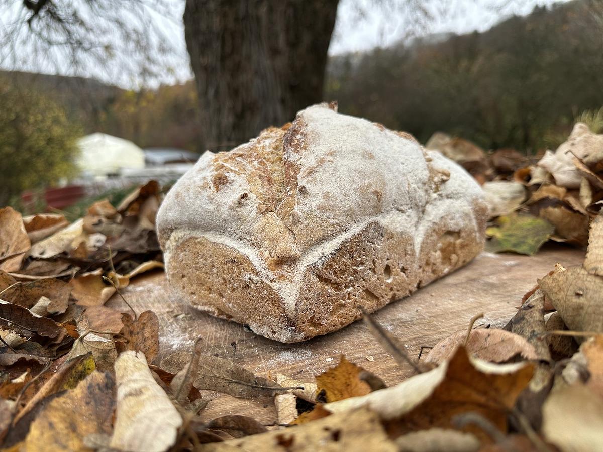 Pain au froment - Image 2