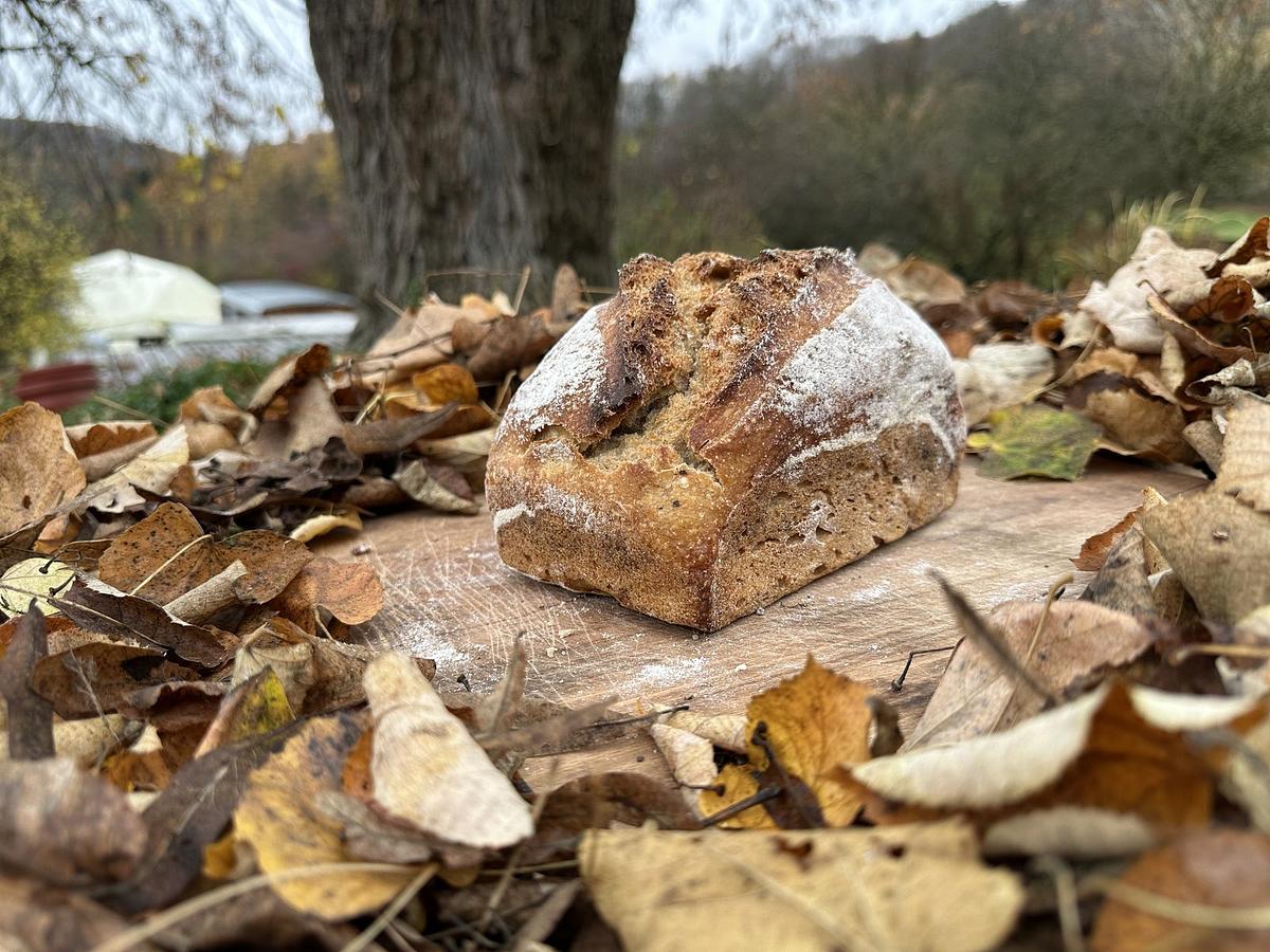 Pain au blé ancien - Image 2