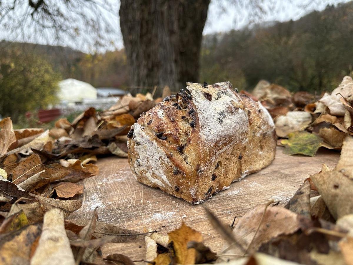 Pain froment au chocolat/sucre - Image 2